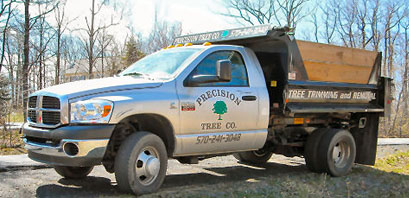 Tree services and landscaping including Wayne and Pike counties